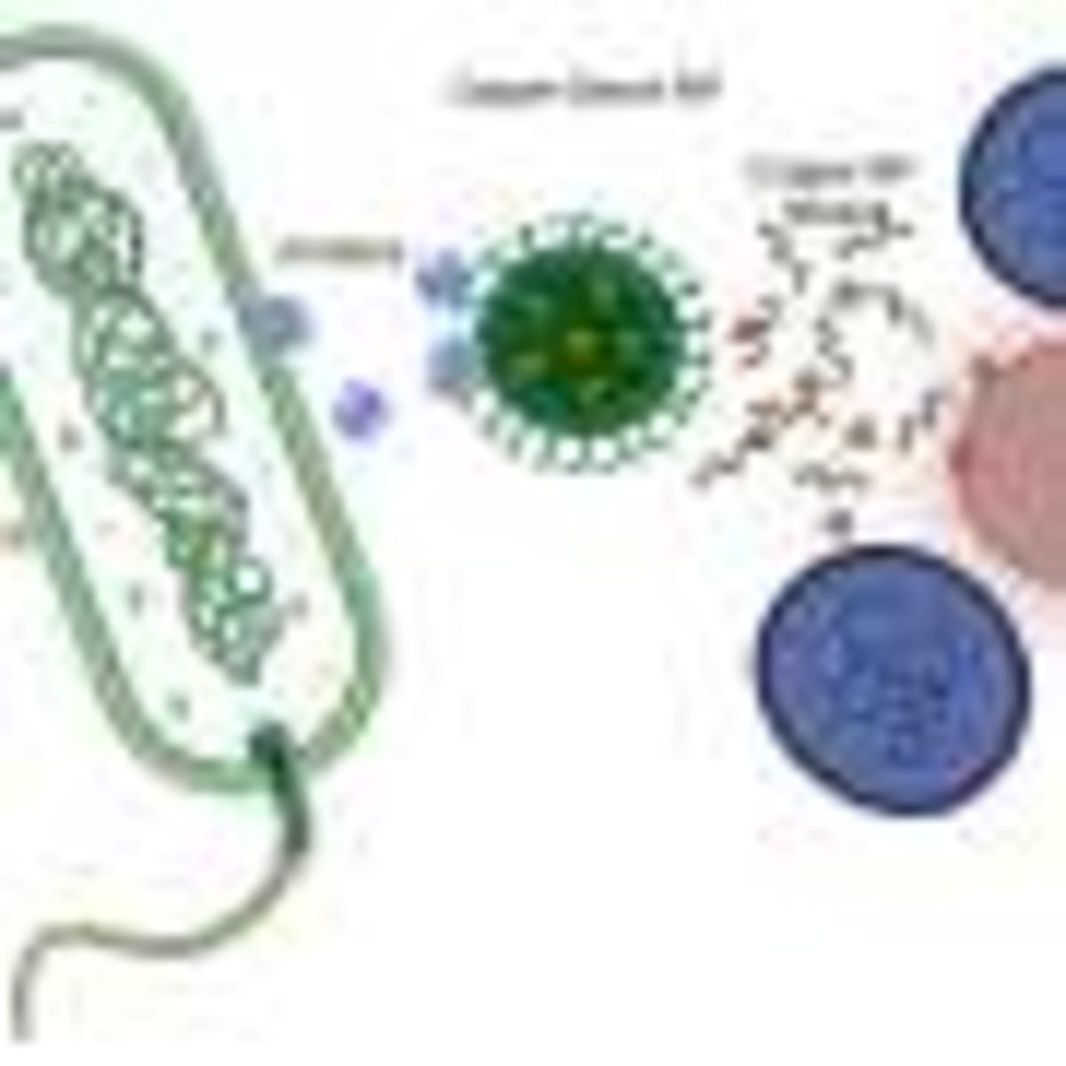 Scientists Crack 40-Year Mystery of Sleeping Sickness Parasite - Image 5