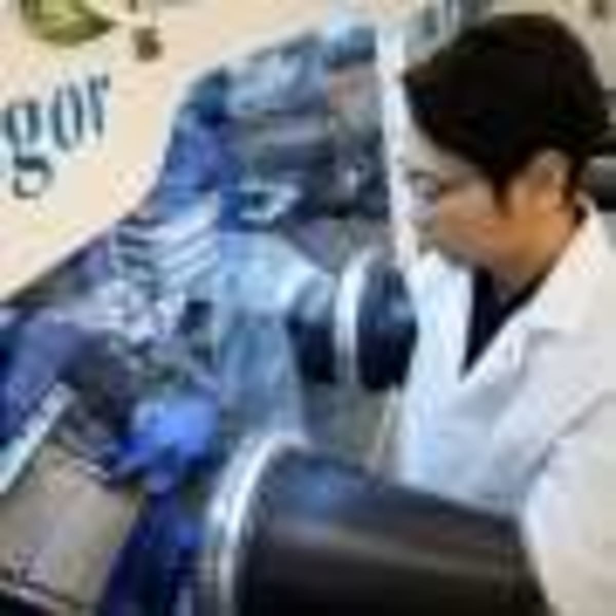 Hawks Teach Drones a New Trick for Dodging Obstacles - Image 4