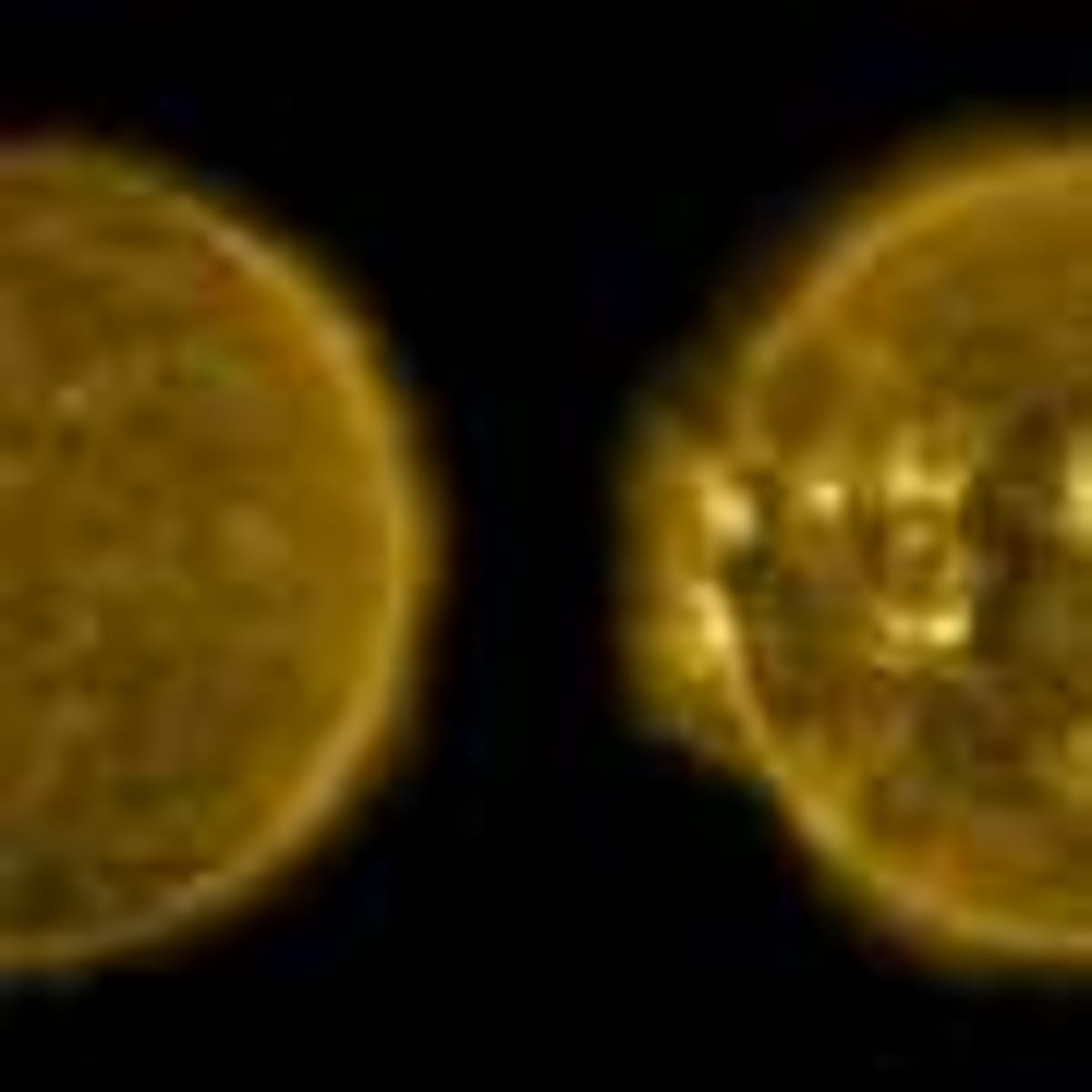 Munich Trees Absorb More CO₂ Than Cars Some Summer Days - Image 4