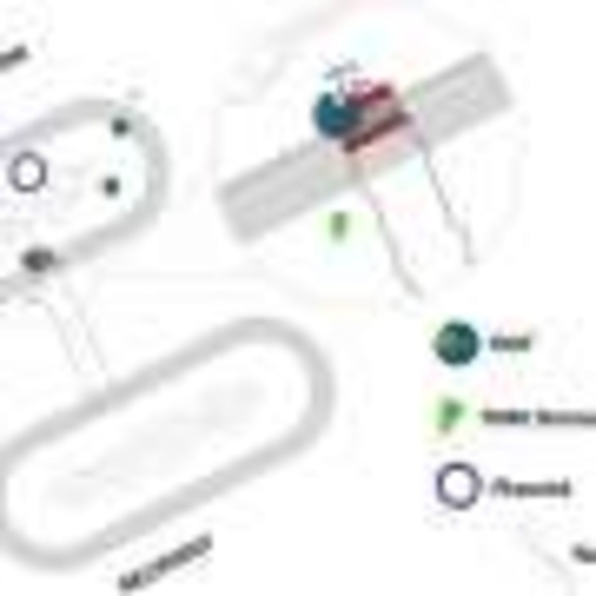 Kids Beat Parents at Teaching Climate Action in India Study - Image 4