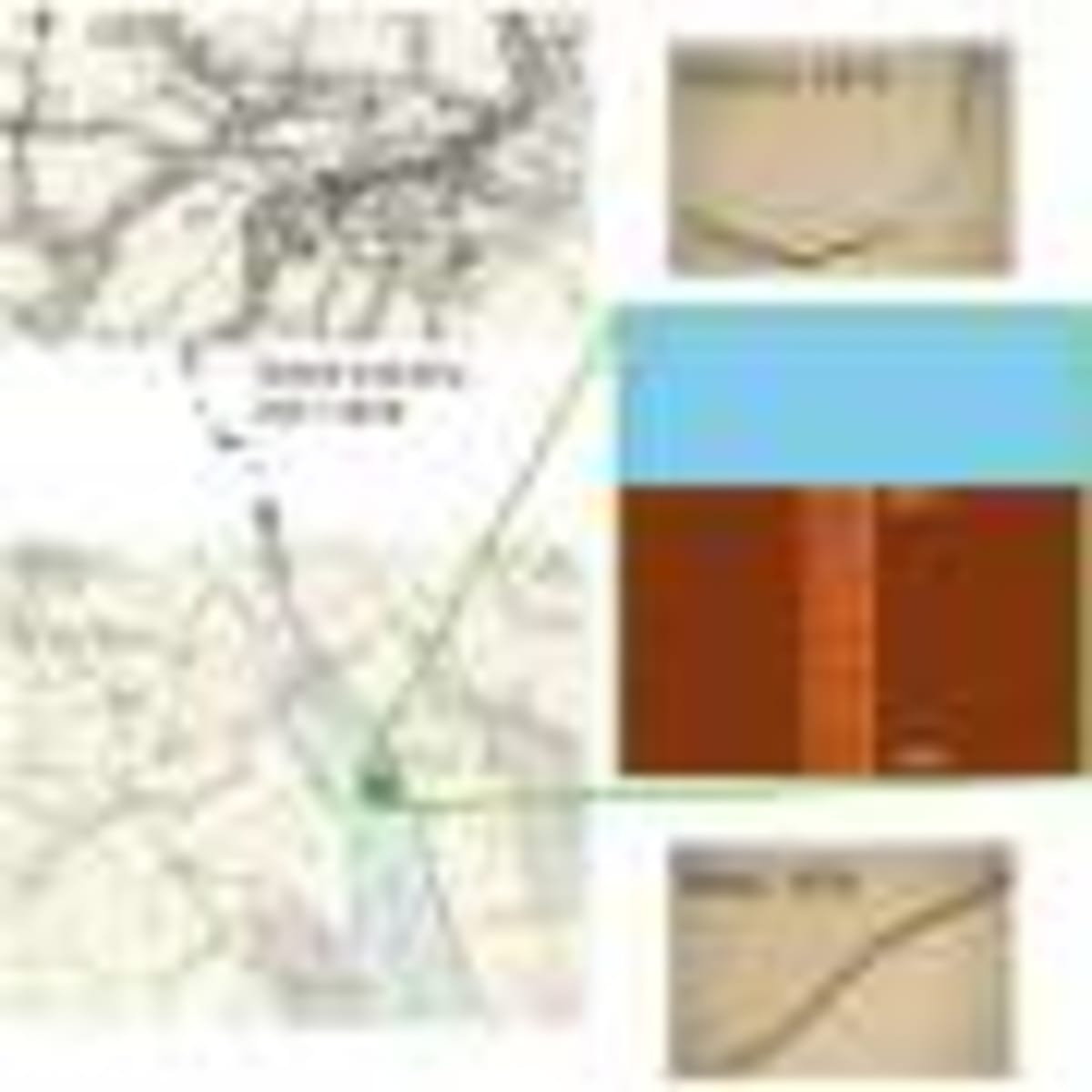 Tiny Microbes That Survive Extremes Now Fighting Climate Change - Image 5