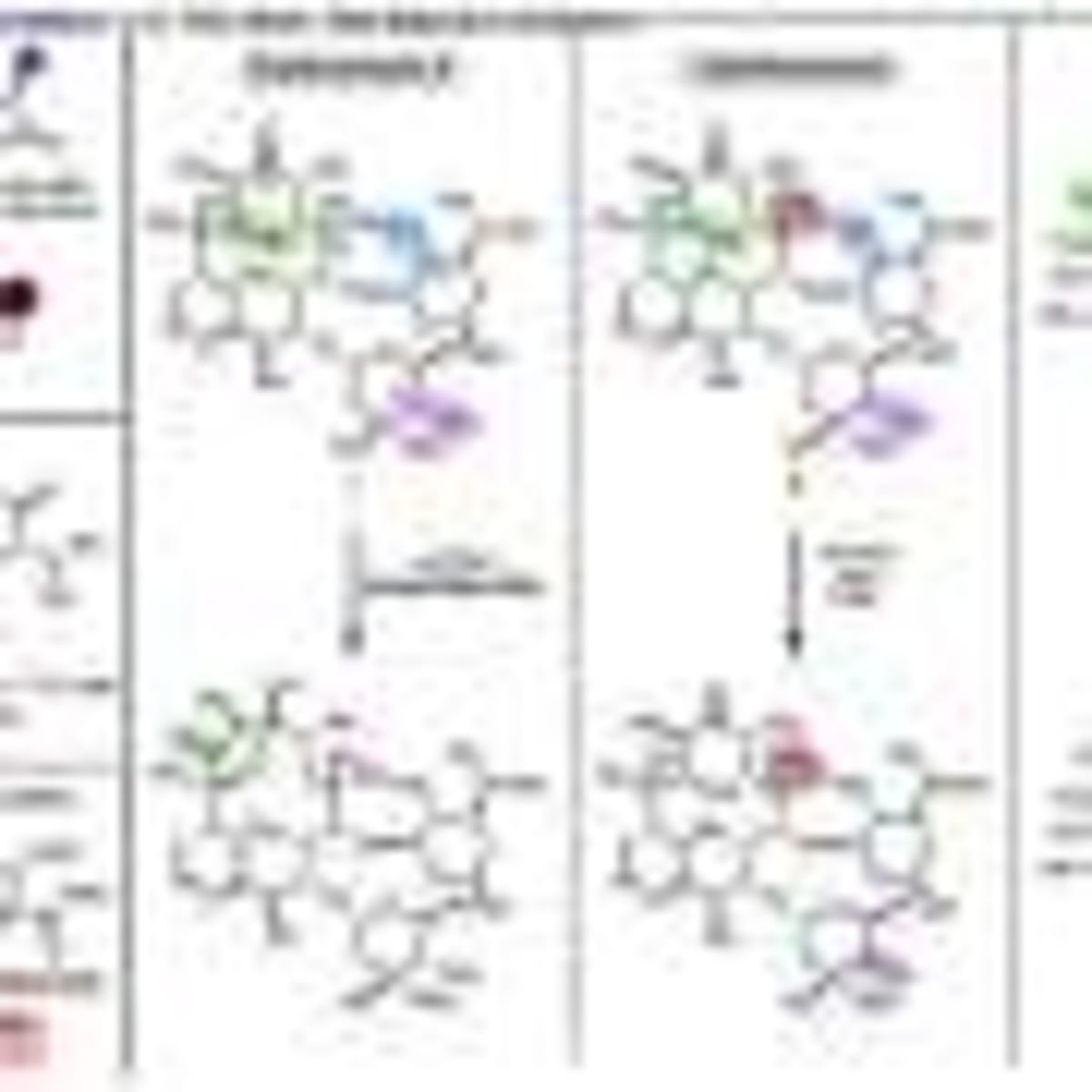 Scientists Prove Atoms Can Exist in Two Places at Once - Image 5