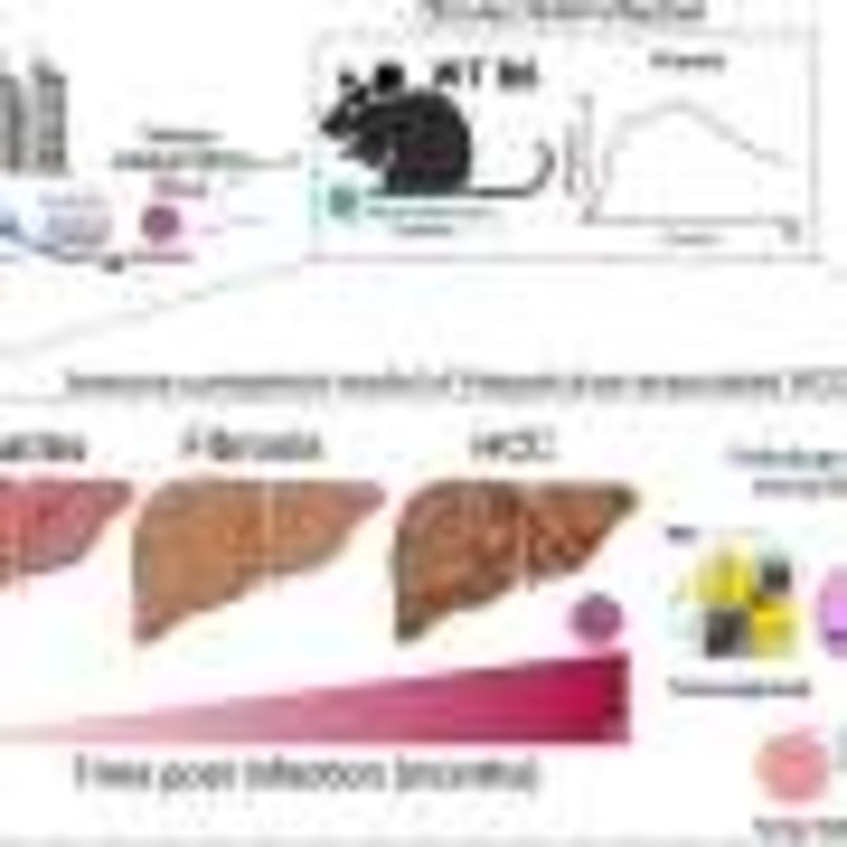 Medicaid Expansion Boosts Addiction Treatment Access - Image 5