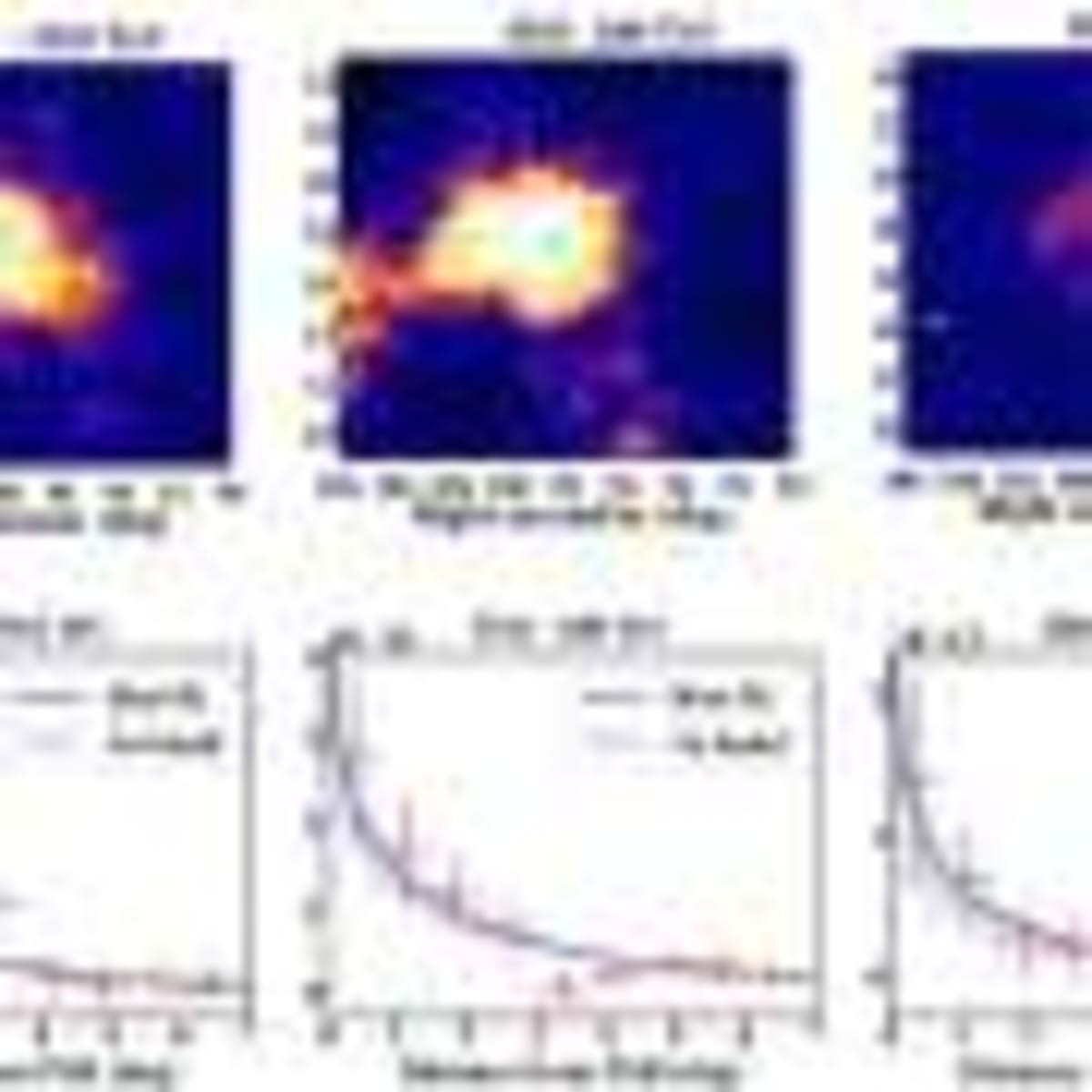 Amazon Fungus Creates Safe Dye for Eco-Friendly Cosmetics - Image 4