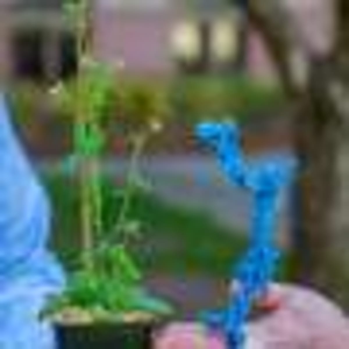 Wasps and Frogs Evolved Same Pain Defense Independently - Image 5