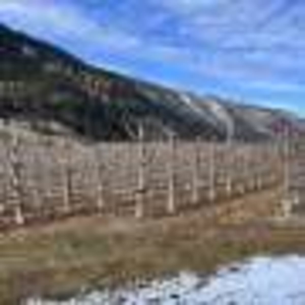 AI Models Show Promise in Predicting Wildfire Spread - Image 5