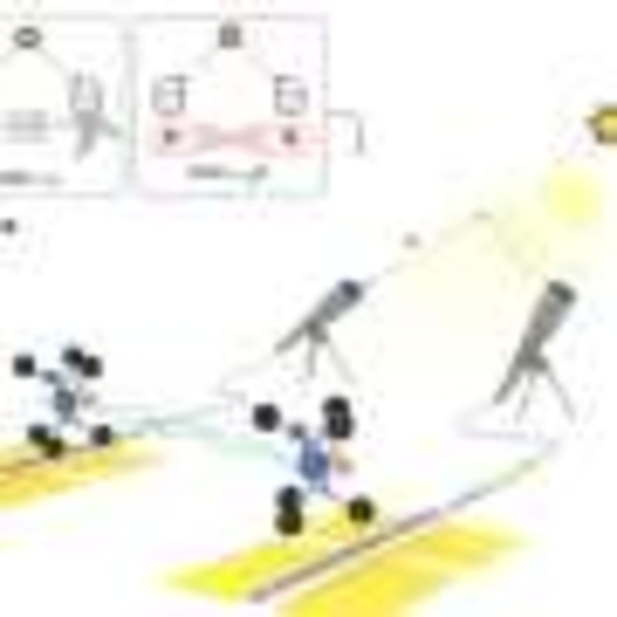 New Vaccine Cuts Wild Animal Fertility by 67% - Image 5