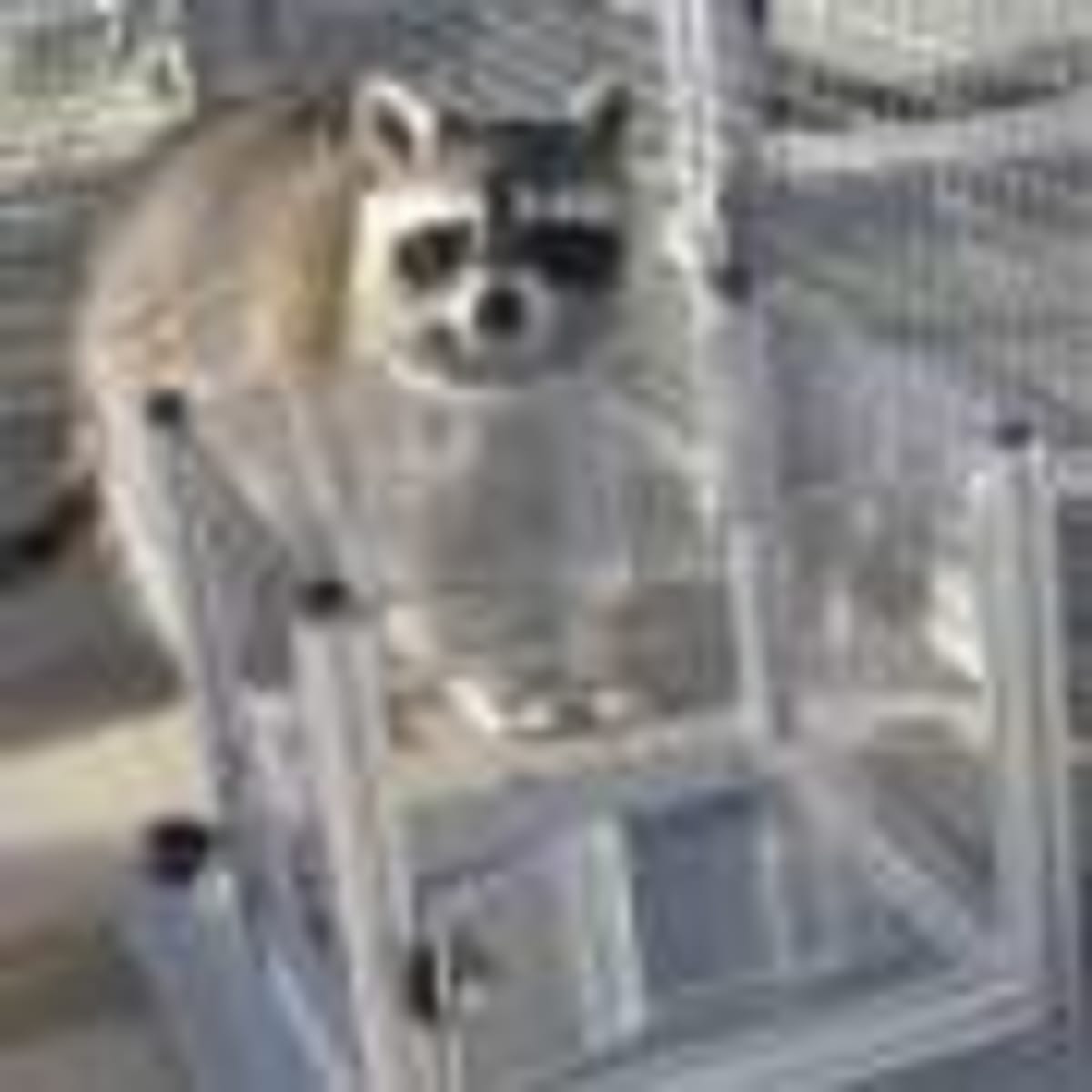 New AI Tool Slashes Drug Development Time and Costs - Image 5