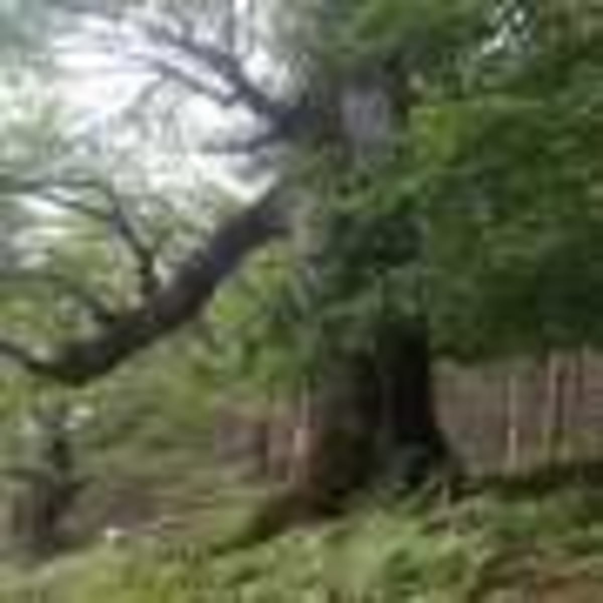 Recycling Soars 61% With Less Frequent Trash Pickup - Image 5