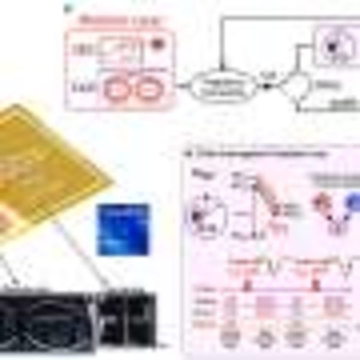 Scientists Crack 40-Year Mystery of Sleeping Sickness Parasite - Image 4