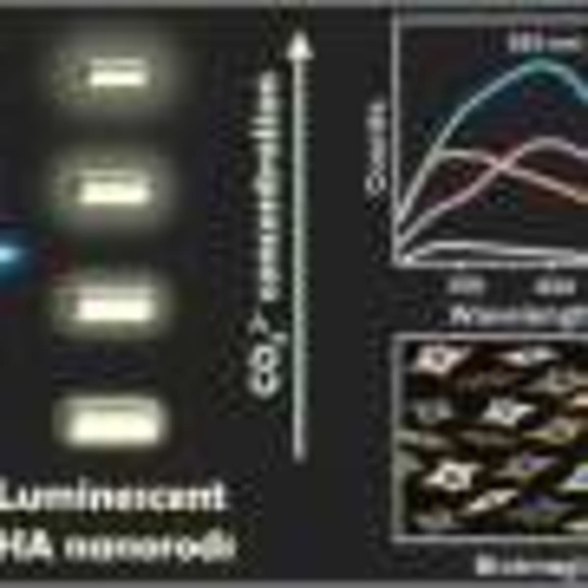 Mosquitoes Help Scientists Find 70 Endangered Species - Image 4