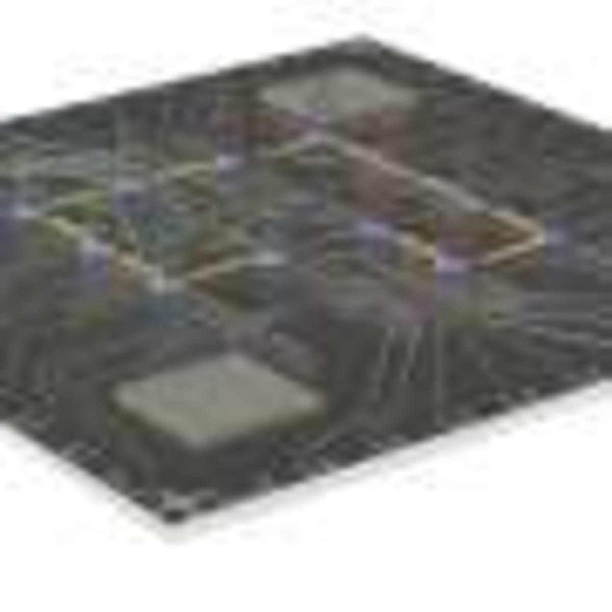 British Study Reignites Interest in Forgotten Wild Foods - Image 5