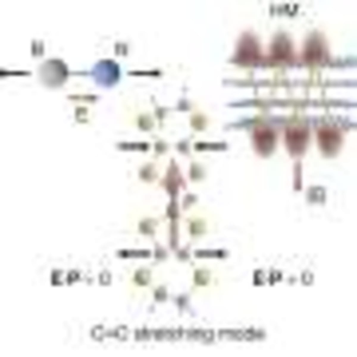 Cattle Boost Yorkshire Dales Wildflowers by 41% - Image 5