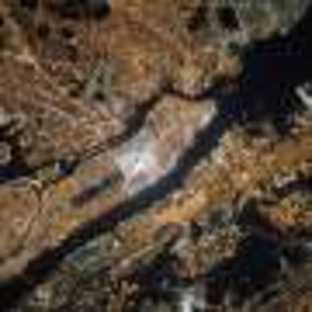 Scientists Turn Toxic PFAS Waste Into Battery-Grade Lithium - Image 4