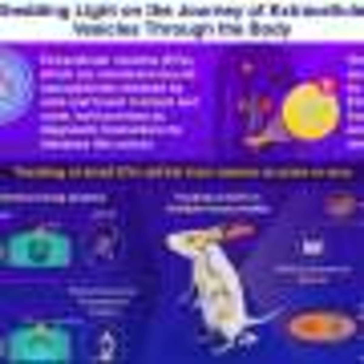 Amazon Fungus Creates Safe Dye for Eco-Friendly Cosmetics - Image 5