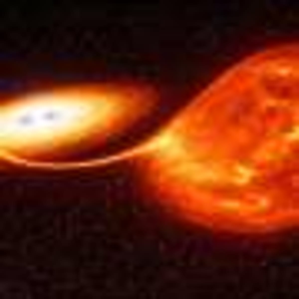 Wet Soil Could Be Our Secret Weapon Against Climate Change - Image 5