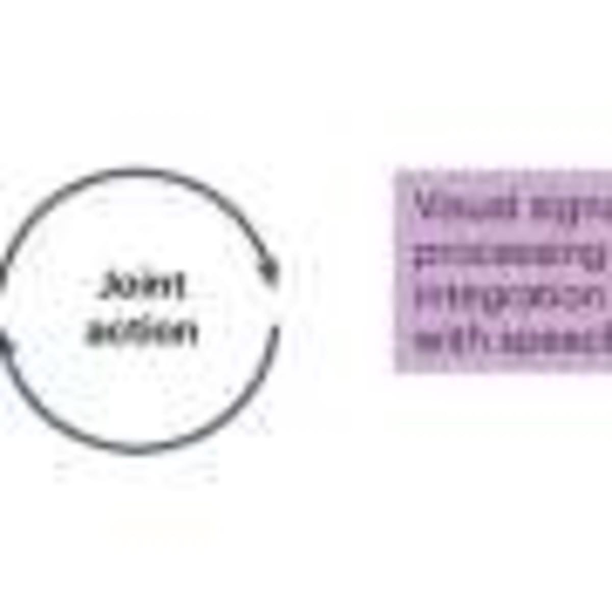 AI Helps Scientists Discover Two New Bird Species in Amazon - Image 3