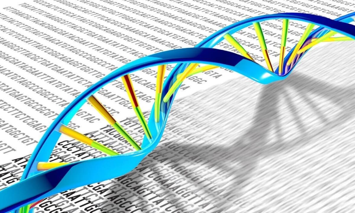 UCLA Finds Genetic Key to Personalized Weight Loss Drugs - Image 2
