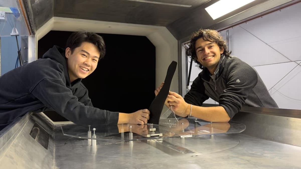 3D printed model of hawk wing mounted in UC Davis wind tunnel for aerodynamic testing