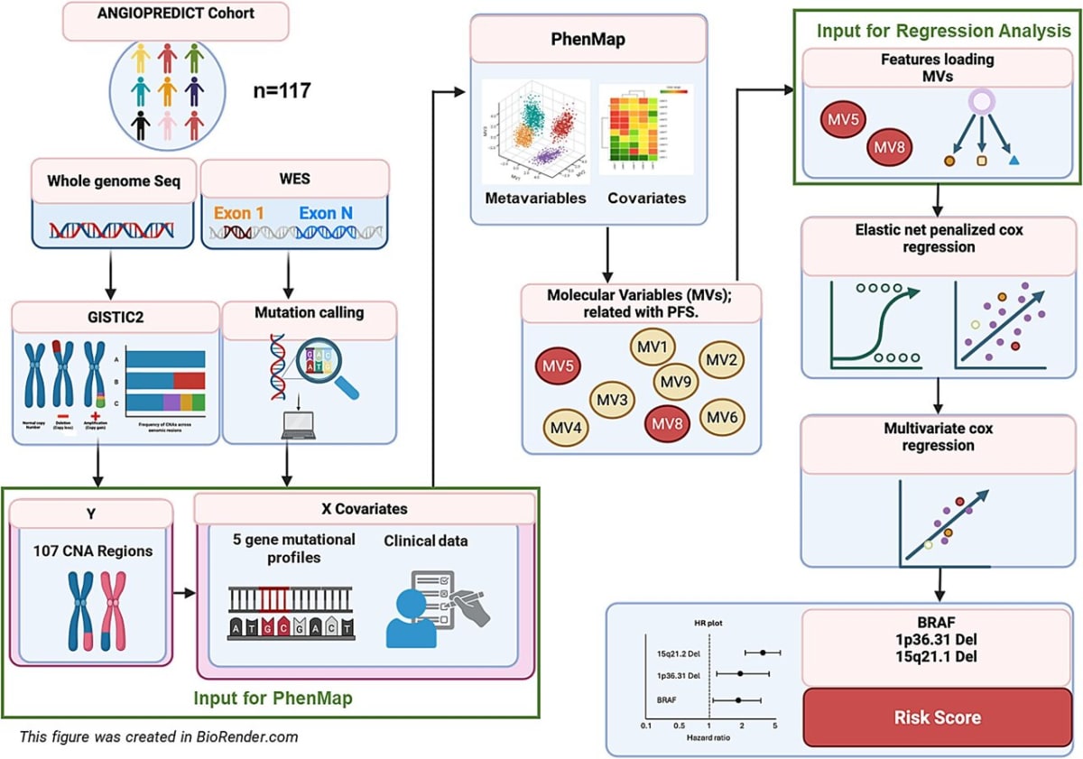 AI Predicts Which Bowel Cancer Patients Benefit From Drug - Image 2