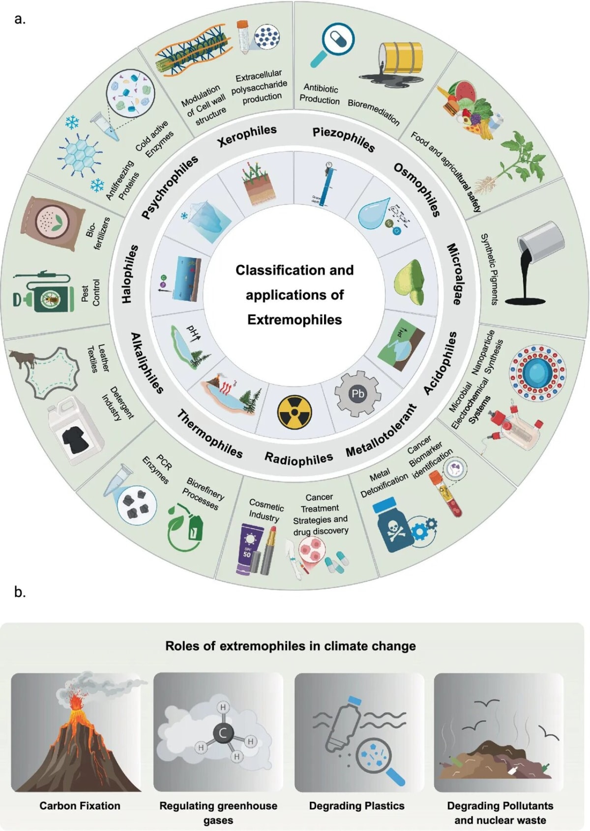 Tiny Microbes That Survive Extremes Now Fighting Climate Change - Image 2