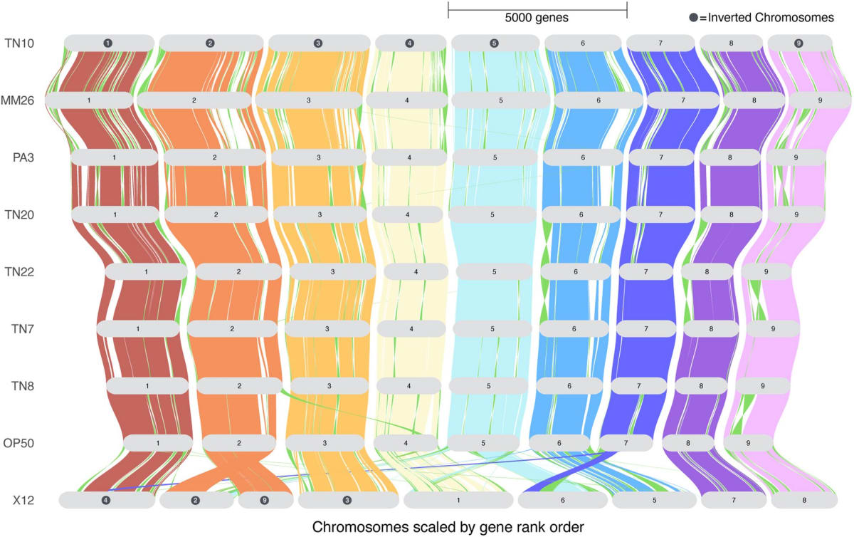Scientists Create Genetic Map to Save Soybean Harvests
