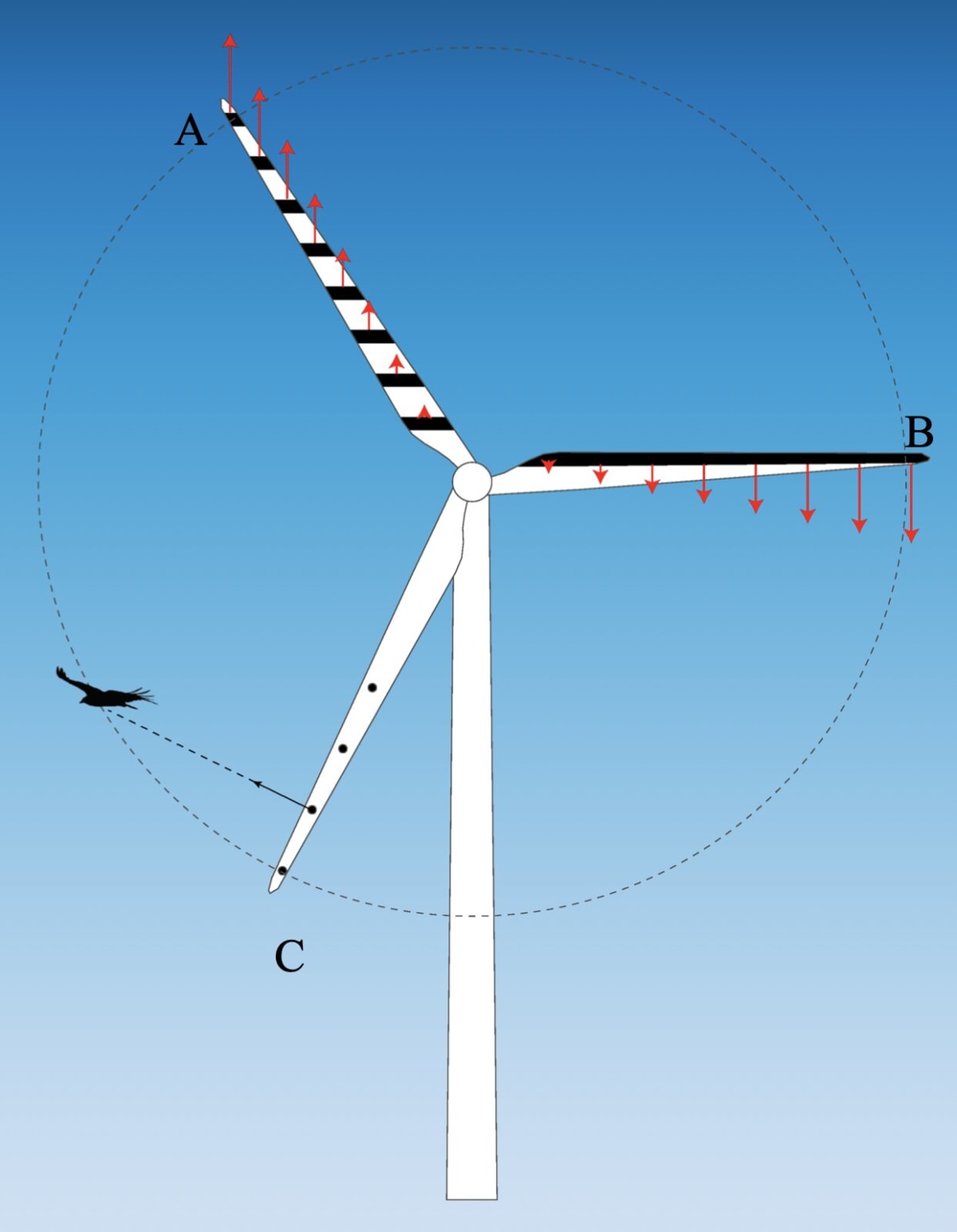Striped Wind Turbines Could Save Millions of Birds