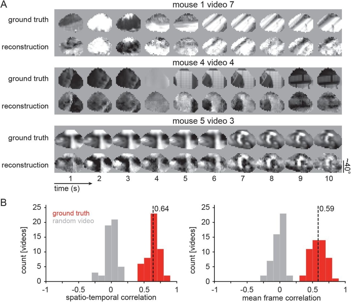 Scientists Reconstruct Videos From Mouse Brain Activity