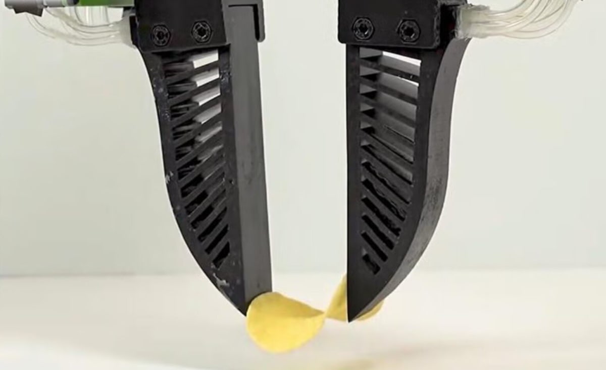 Robot Hand Picks Up Potato Chips Without Breaking Them