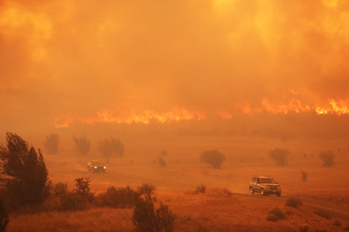 Hands holding a smartphone displaying a charity donation website for Washington wildfire relief
