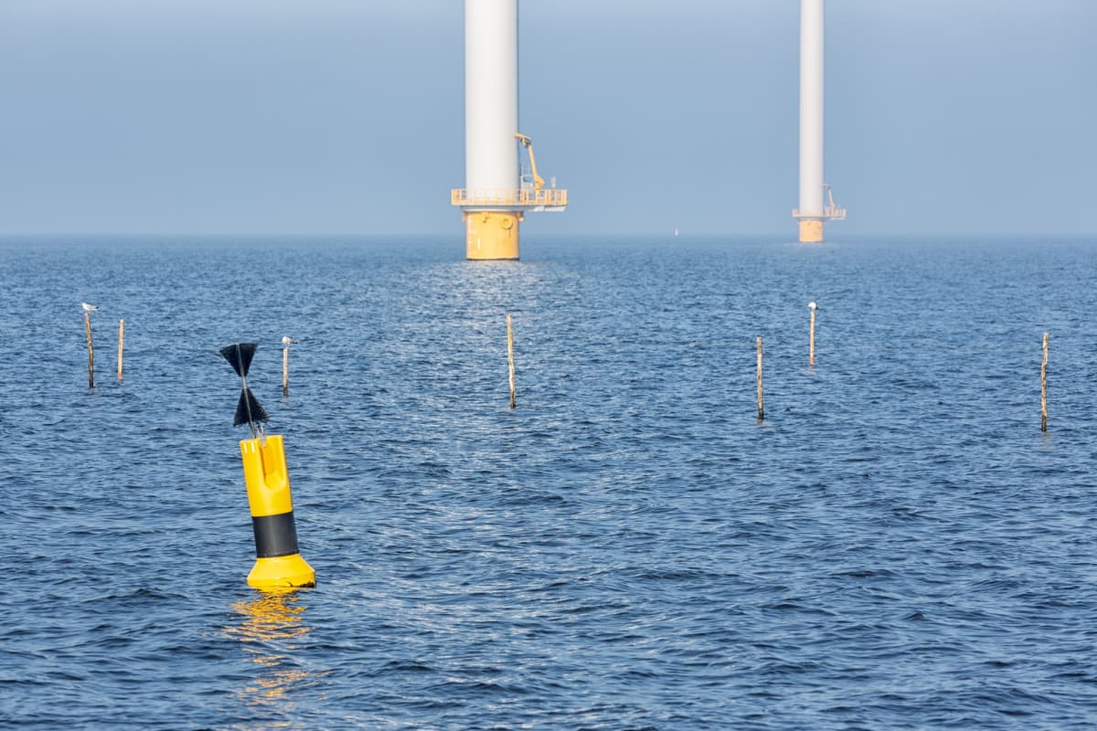 New Jersey's Wind Farms Get Science Boost for Fisheries