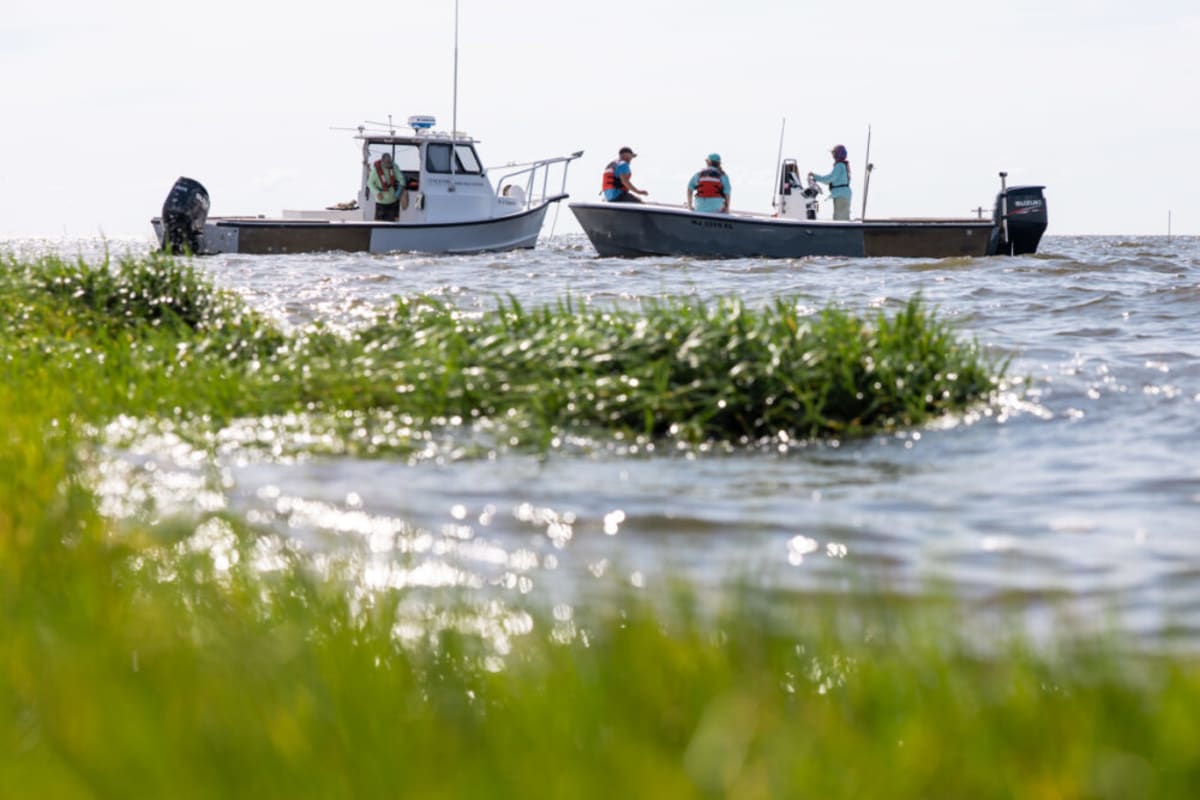 Jersey Shore Gets Solar-Powered Ocean Research Platform - Image 3