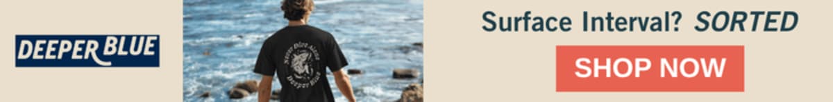 New Calculator Shows How Beach Cleanups Save Marine Life - Image 4