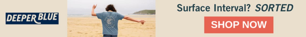 Manatee Population Soars From 1,000 to 8,000 Since 1973 - Image 4