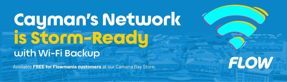 Caribbean Economies Grow Despite Energy Price Surge - Image 4