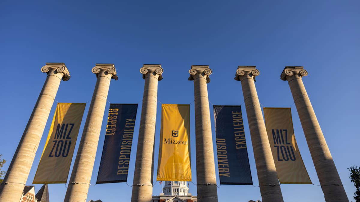University of Missouri Grads Hit 95% Success Rate - Image 2