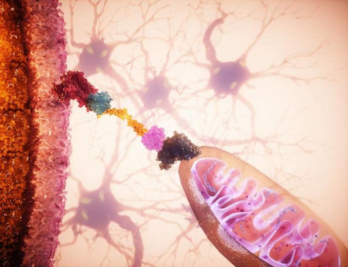 Cancer Therapy Brings Hope to Autoimmune Disease Patients - Image 3