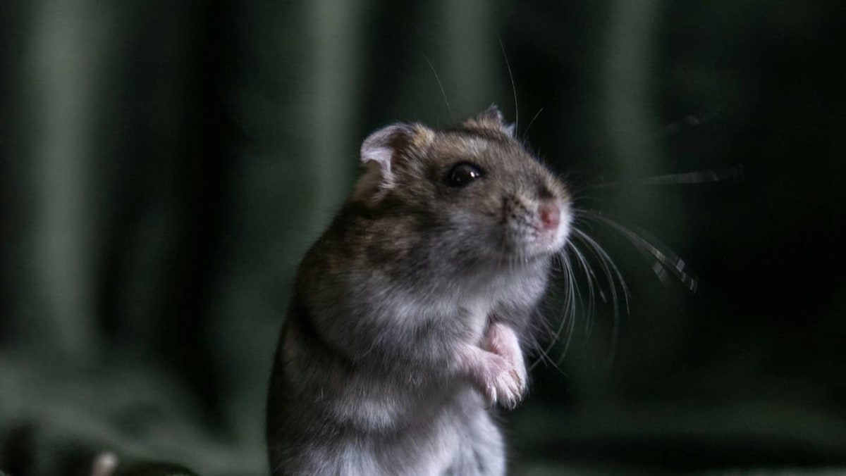 Scientists Print Fake Neurons That Slash AI Energy Use - Image 2