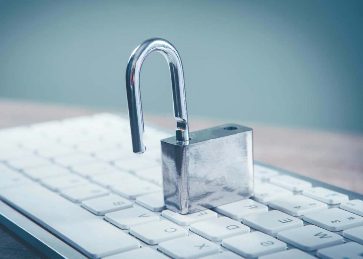 Brain Models That Compete Work More Like Real Brains - Image 5