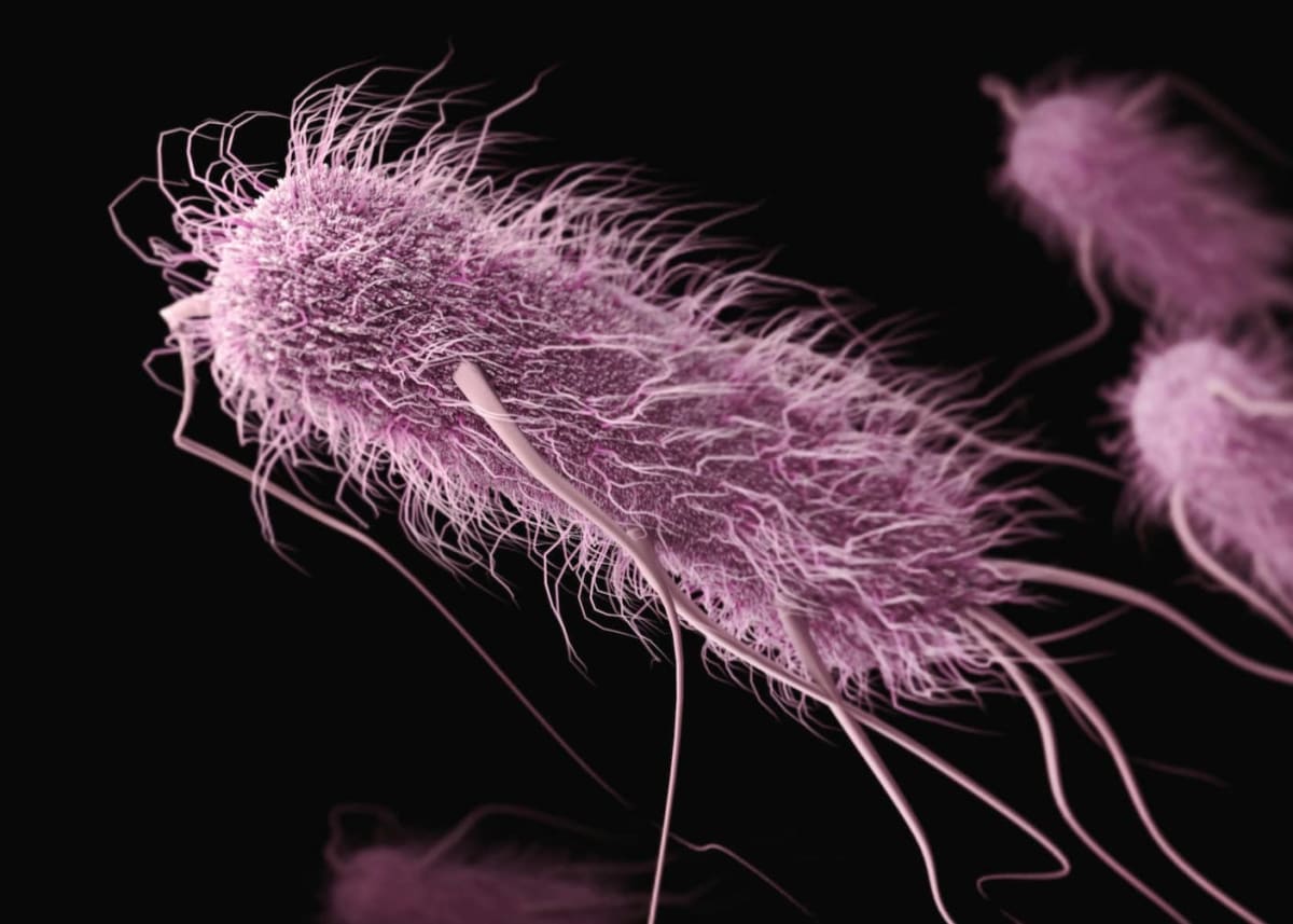 Cancer Therapy Brings Hope to Autoimmune Disease Patients - Image 2