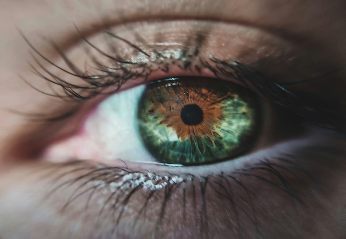 Close-up of a human eye reflecting light with green plant leaves visible in background
