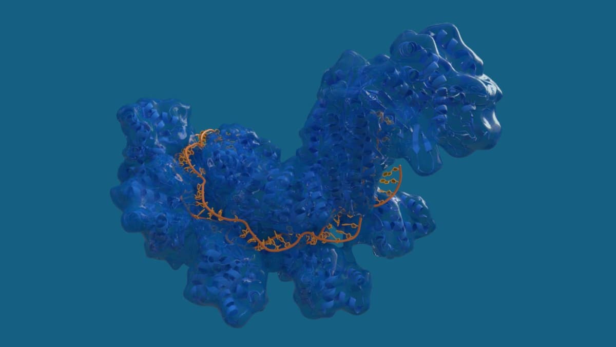 AI Designs Gene Editors That Cut DNA With Pinpoint Accuracy - Image 2