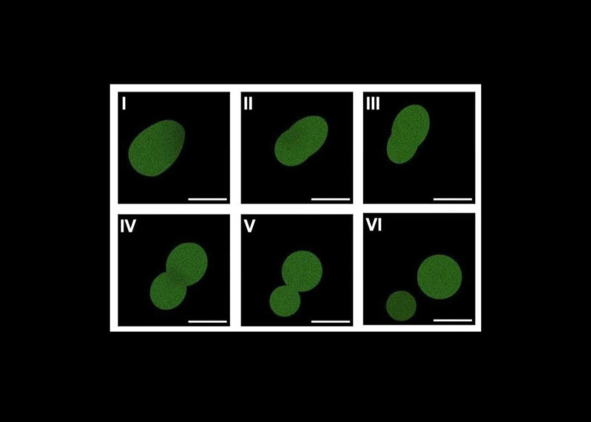 AI Designs Gene Editors That Cut DNA With Pinpoint Accuracy - Image 5