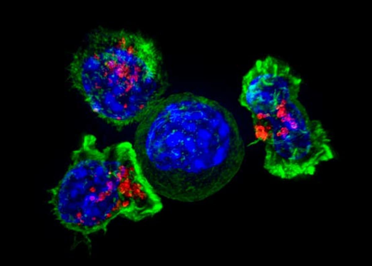 AI Designs Gene Editors That Cut DNA With Pinpoint Accuracy - Image 4