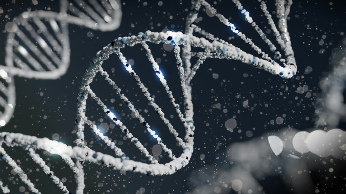 Rare Gene Variant Cuts Diabetes and Heart Disease Risk 60% - Image 2