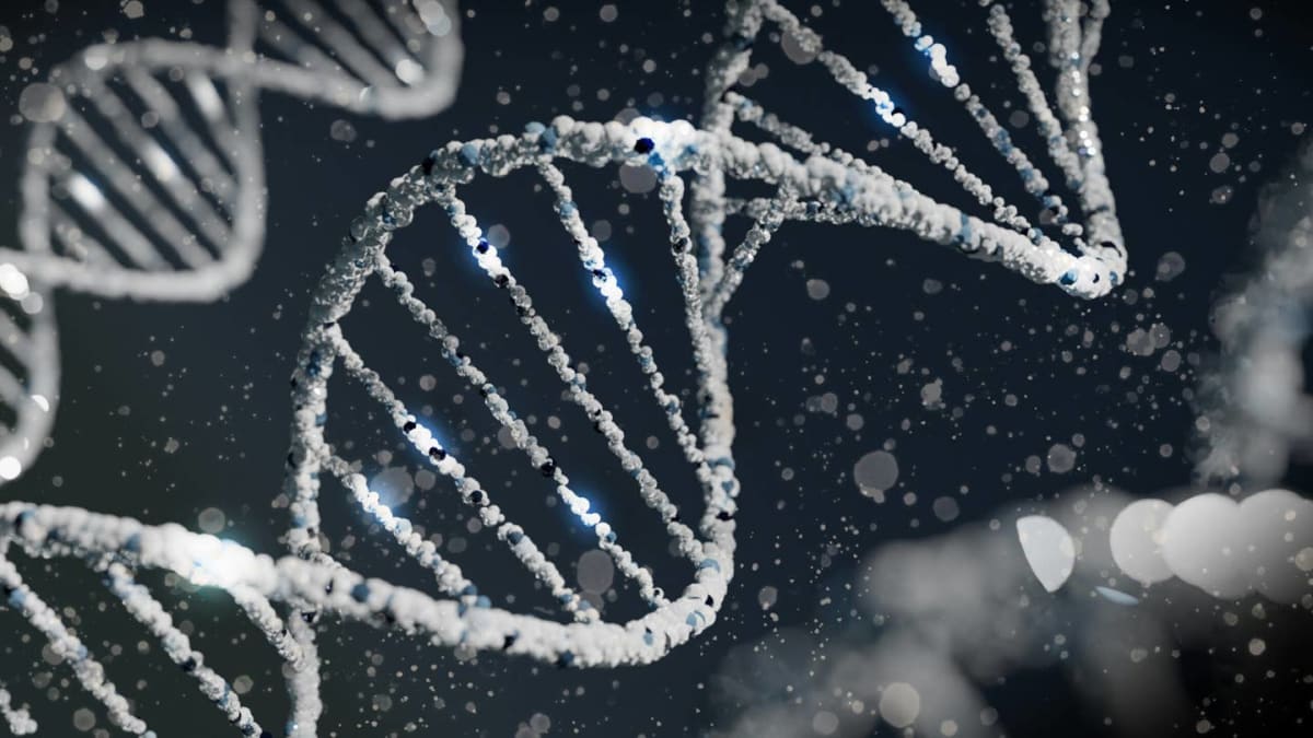 Rare Gene Variant Cuts Diabetes and Heart Disease Risk 60% - Image 3