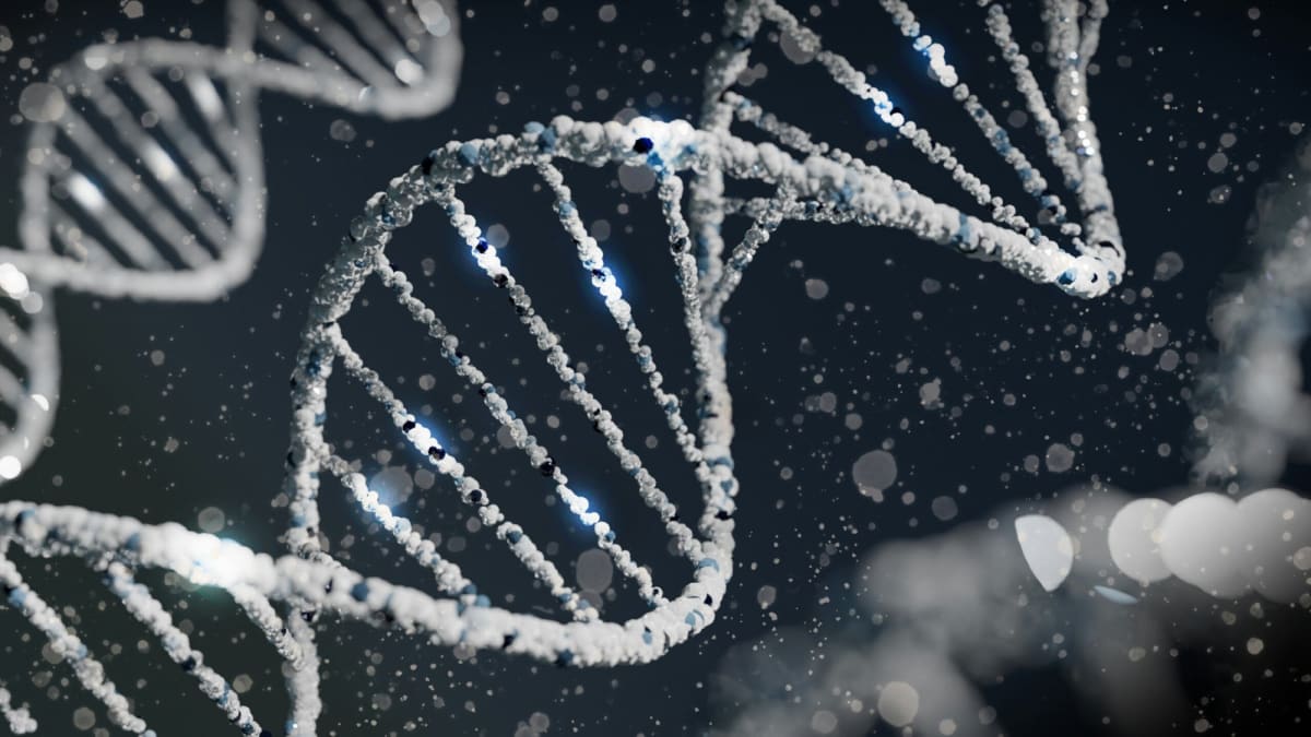 Rare Gene Variant Cuts Diabetes and Heart Disease Risk 60%