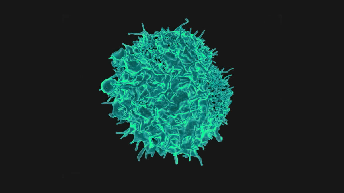 Single Shot Eases MS Symptoms in 16-Patient Trial