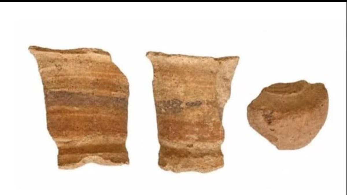 Egypt Uncovers Medieval Port City at Red Sea Site