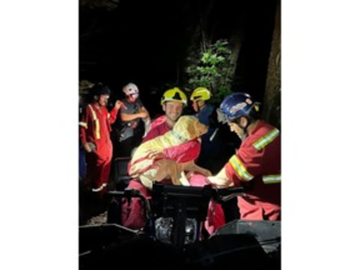 Firefighters Rappel 70 Feet Down Cliff to Save Yellow Lab - Image 2